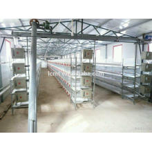 Formulaire automatique de matériel de volaille de cage de poulets de chair Fabricant professionnel